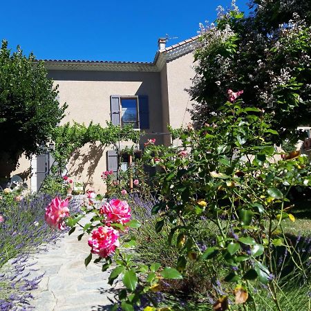 Le Clos Du Verger La Motte-du-Caire Экстерьер фото